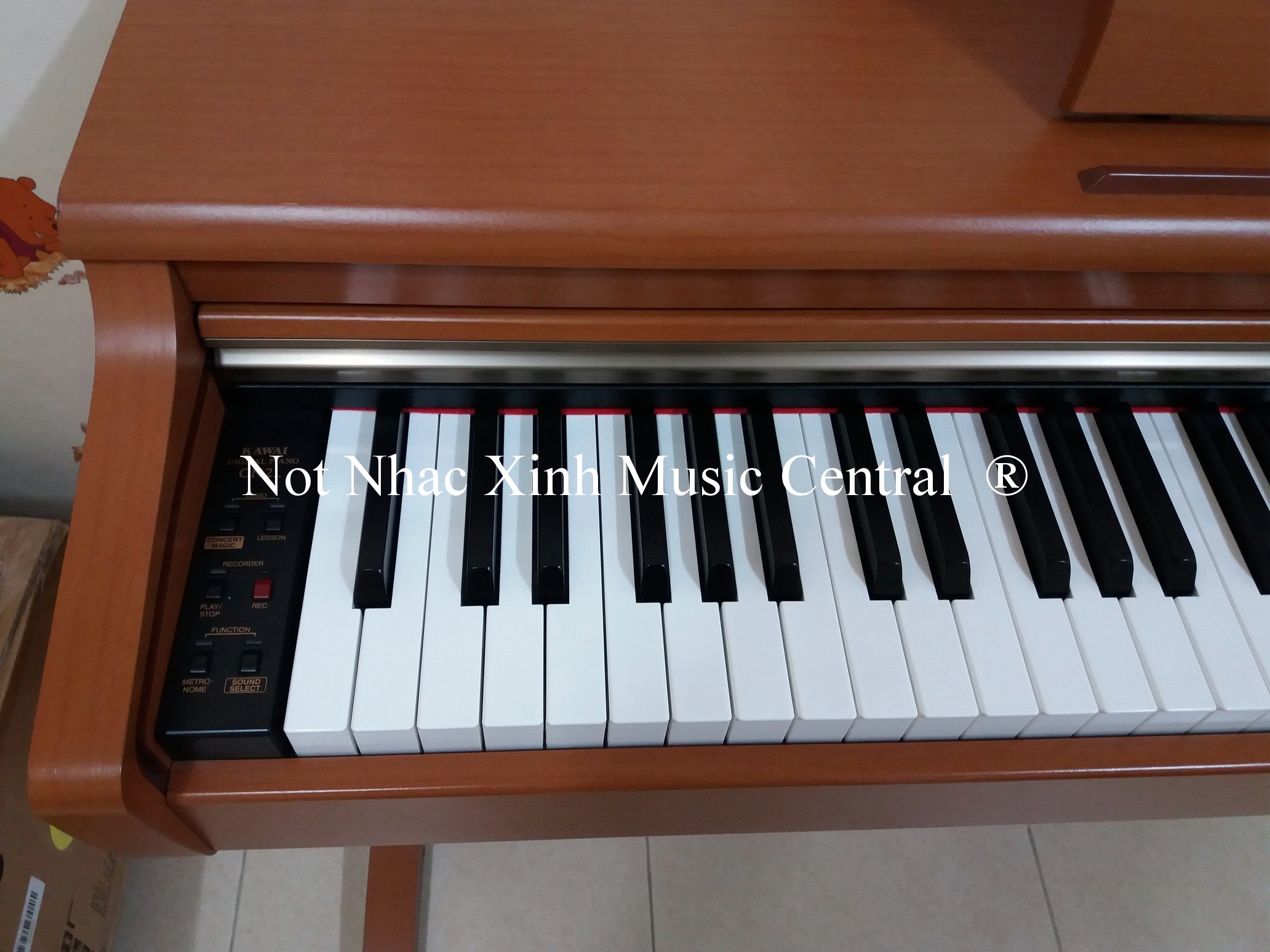 Đàn piano điện tử Kawai CN-21