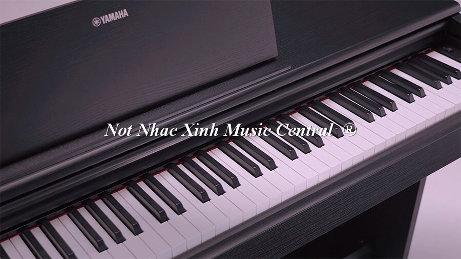 Đàn piano điện tử Yamaha YDP-145
