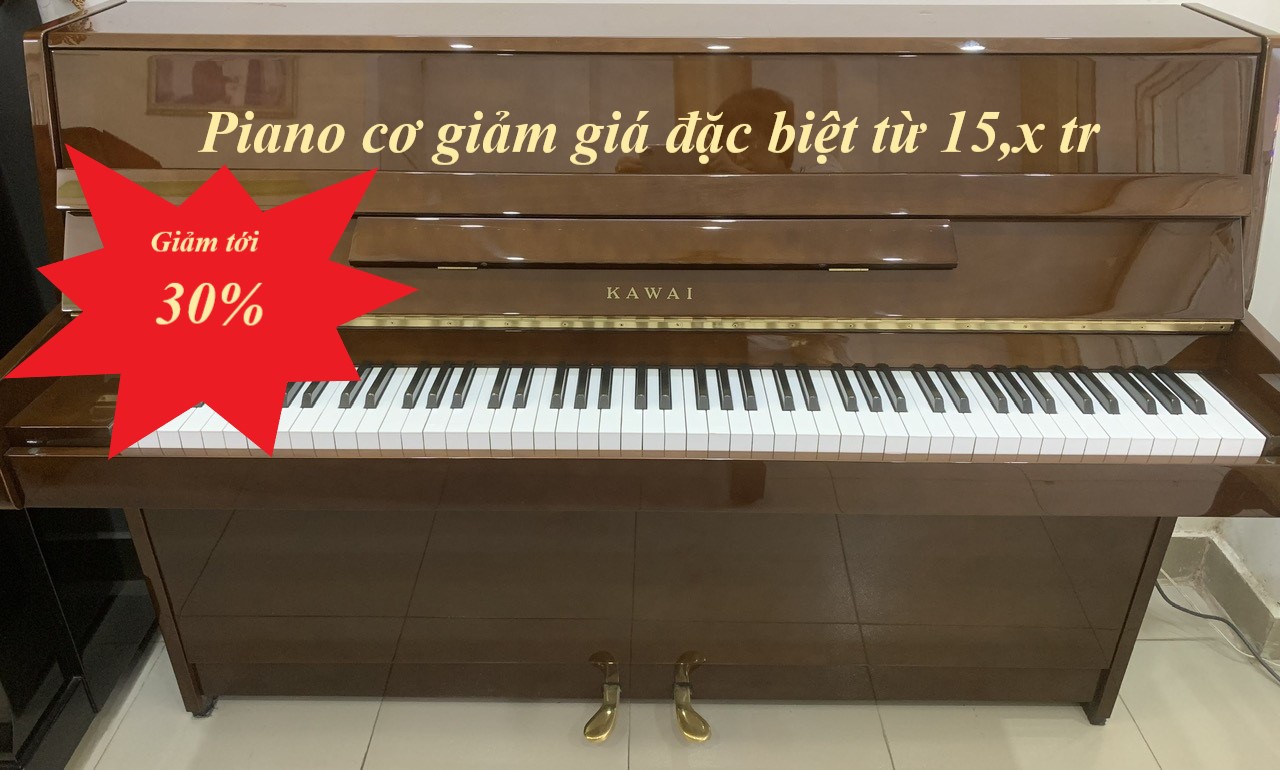 Giảm giá đặc biệt