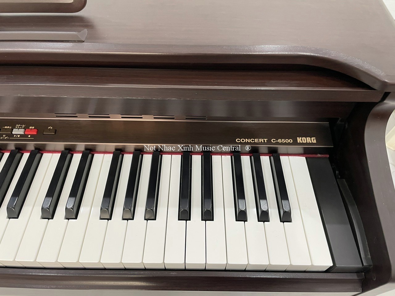 Đàn piano điện tử Korg C6500