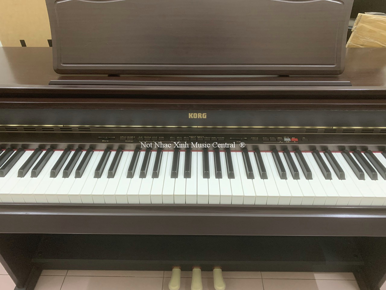 Đàn piano điện tử Korg C6500